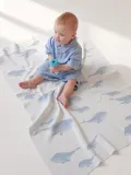 киты